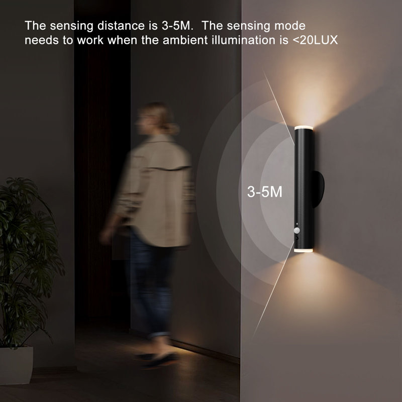 Danapaola LED Flush Mounted Sconce, Matte Black