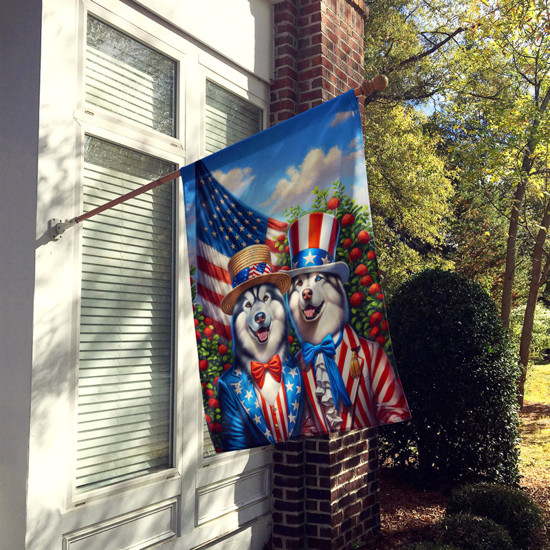 Drapeau «All American House», Malamute d’Alaska