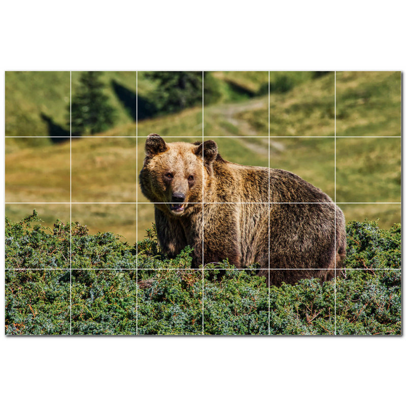 Bear Photo 8'' x 8'' Satin Ceramic Decorative Mural
