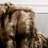 Hand Woven Throw Blanket-31552048