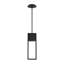 Archetype 1 - Light LED Outdoor Pendant
