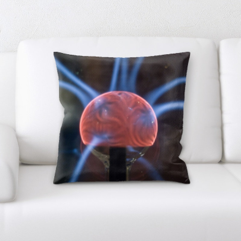 Coussin décoratif scientifique Hinojosa