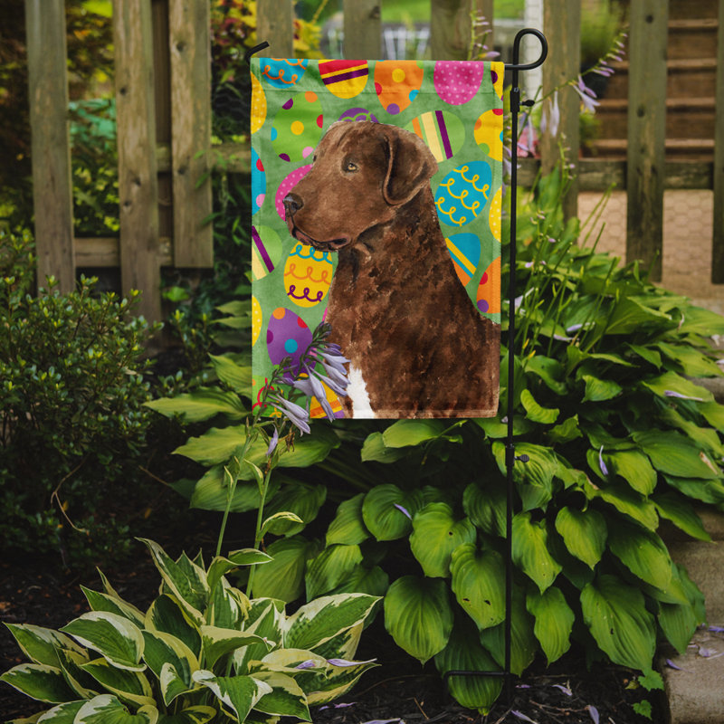 Drapeau de jardin Atara, Retriever de la Baie de Chesapeake