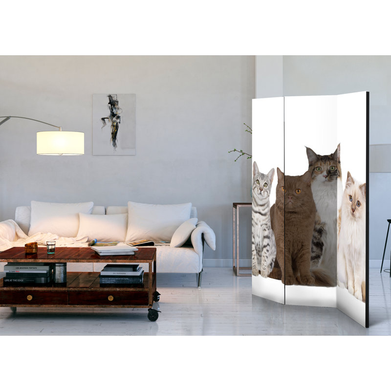 Juelz 172cm H Folding Room Divider, 3