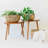 Bayou Breeze Decorative Basket
