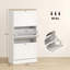 Petite armoire de rangement, armoire de rangement pour chaussures, armoire de rangement dissimulée pour chaussures