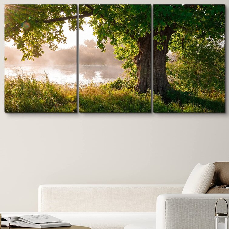 wall26 - Oak Tree in Full Leaf in Summer Standing Alone - Removable Wall  Mural