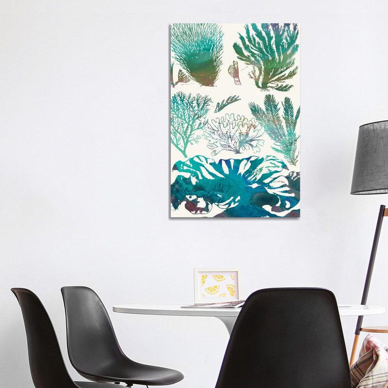 Aquatic Assemblage II by Sharon Chandler - Wrapped Canvas Painting, 101.6 cm H x 66.04 cm W x 3.175 cm D