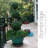 Bornbridge 46 " H Faux Boxwood Topiary