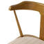 Ripley Dining Chair with Cushion-1673080597-1673080598