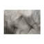 Art sur toile «Bachely Penny Myles Seedlings»-103086500