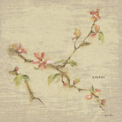 Fleur de cerisier