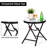 2 - Person Patio Conversation Set with Cushions