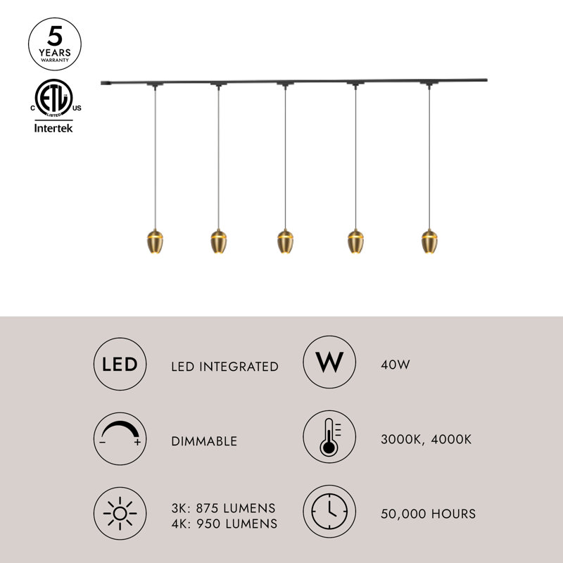 Eloa 5 Light Black dimmable 4000K LED Trilo Track Ceiling Kit, Matte Black