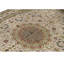 Oriental Area Rug in Ivory