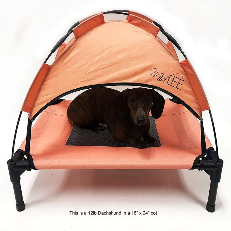 Lit pour chien Midlee, Petit (l 18 po x P 23,75 po x H 24 po)