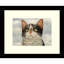 Parmele Animals Framed Art