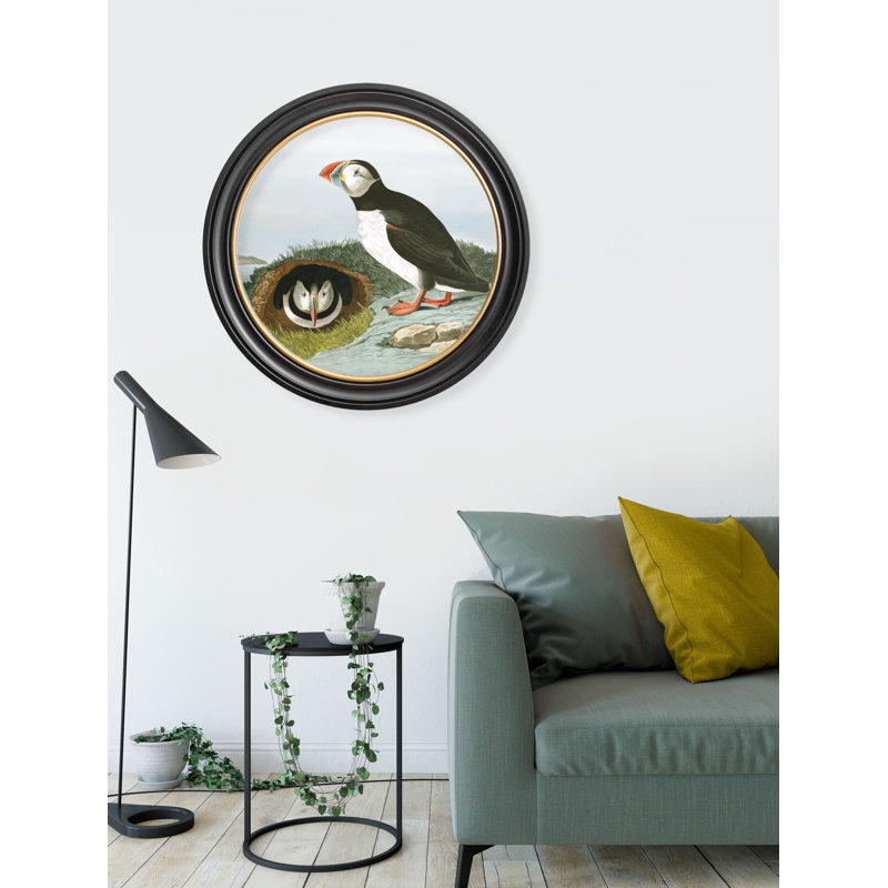 Puffins In Round Frame by Audubon - Single Picture Frame Print on Archival Matt 230gsm Paper