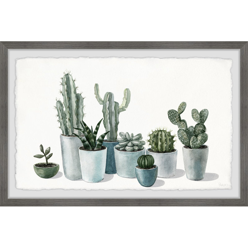 Growing Cactus And Succulents by Parvez Taj - Single Picture Frame Painting, 38cm H x 45cm W