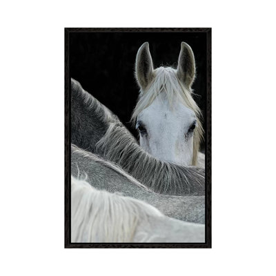 Look 1 Piece Wall Art on Canvas