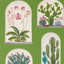 Terrariums Wallpaper-50889026