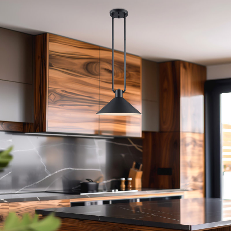 Luminaire suspendu industriel Fayra, Noir, H 10,25 po x l 12 po x P 12 po
