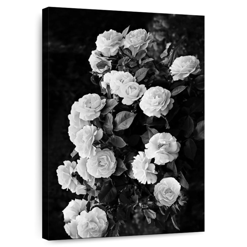 Harnek Monochrome Rose Bush, 30" H x 20" W