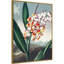 Temple of Flora VII par Dr. robert j. Impression sur toile encadrée Thornton-713576659