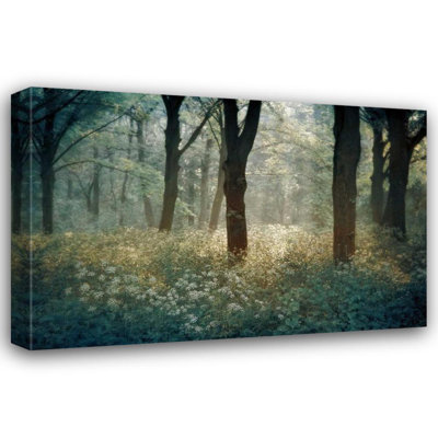 Art sur toile tendue avec la galerie Alcott Hill® Van de Goor, Lars: Foret De