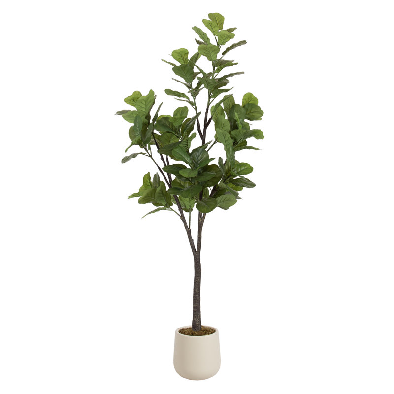 Figuier à figuier Fidmont avec pot de fleurs incurvé Fidmont, H 70,87 po x l 27,56 po x P 23,62 po, Ivoire ivoire