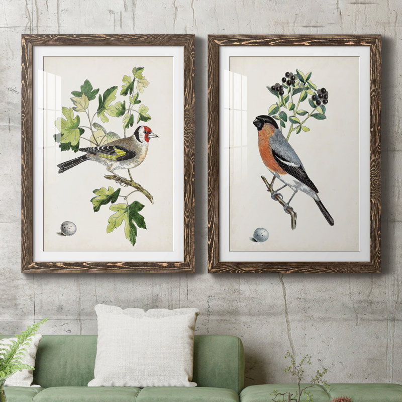 Oiseau antique, botanique et œuf III - ensemble de 2 reproductions d'art sur papier encadré, H 31,5 po x l 47 po x P 1,5 po