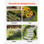 Bordure de jardin en acier 6 paquets 40 x 6 po bordure de jardin résistante à la rouille noir