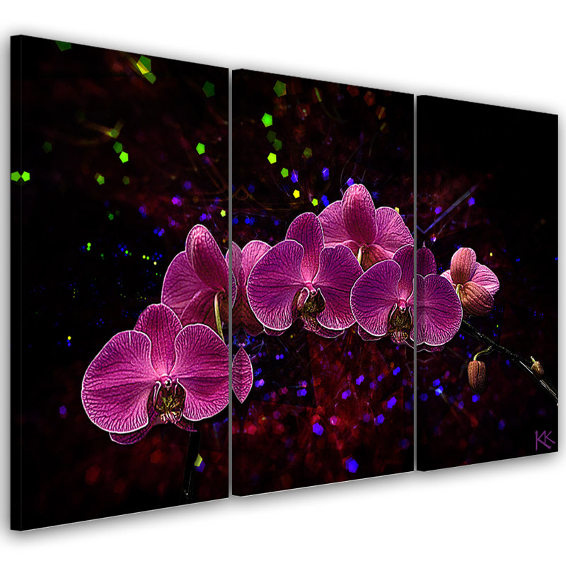 Orchid On A Dark Background - 3 Piece No Frame Print on Canvas, 80cm H x 120cm W