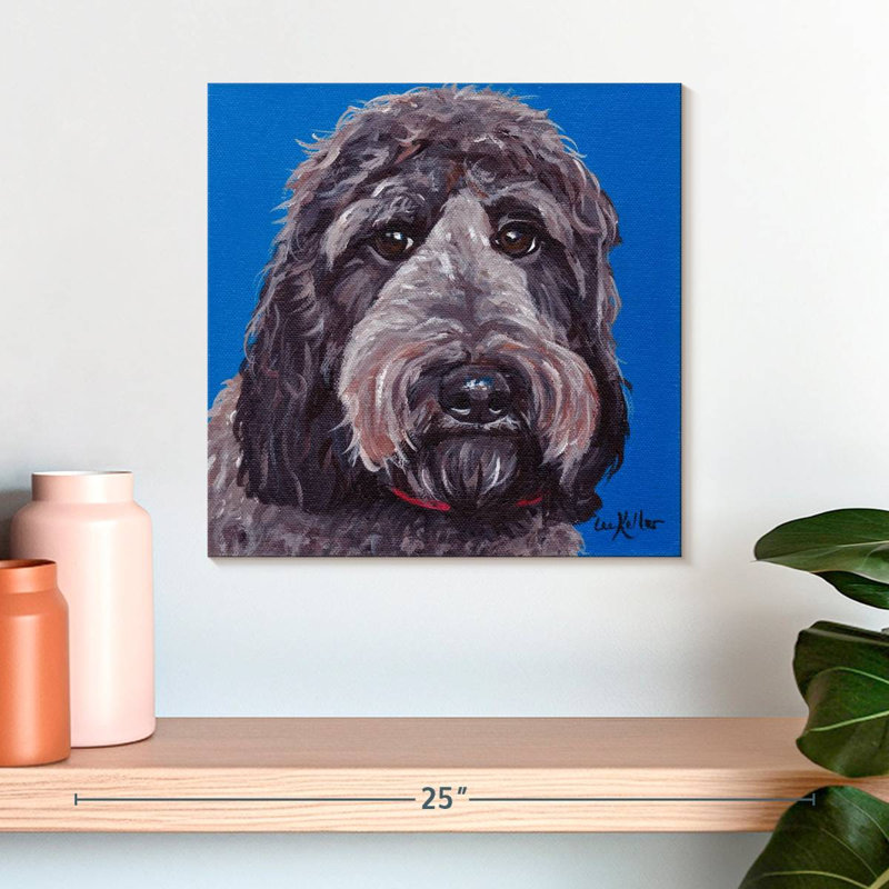 Crowle Labradoodle, 16" H x 16" W
