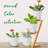 6 inch Plant Pots 5 Pack-846098987