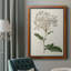 Toile encadrée de qualité supérieure Antique Botanical Collection-4172228