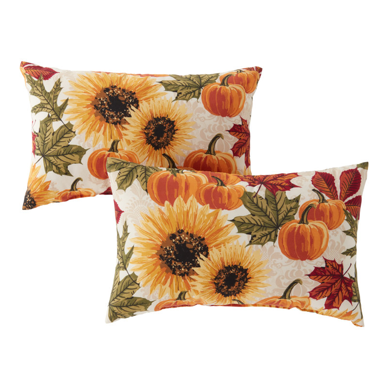 Coussin lombaire intérieur / extérieur Henrich, Ensemble de 4, Marisol