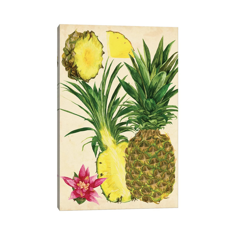 Tropical Pineapple Study II by Melissa Wang - Wrapped Canvas Painting, 30.48cm H x 20.32cm W x 1.91cm D