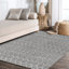 Tapis gris / ivoire Kateshia-1370867827