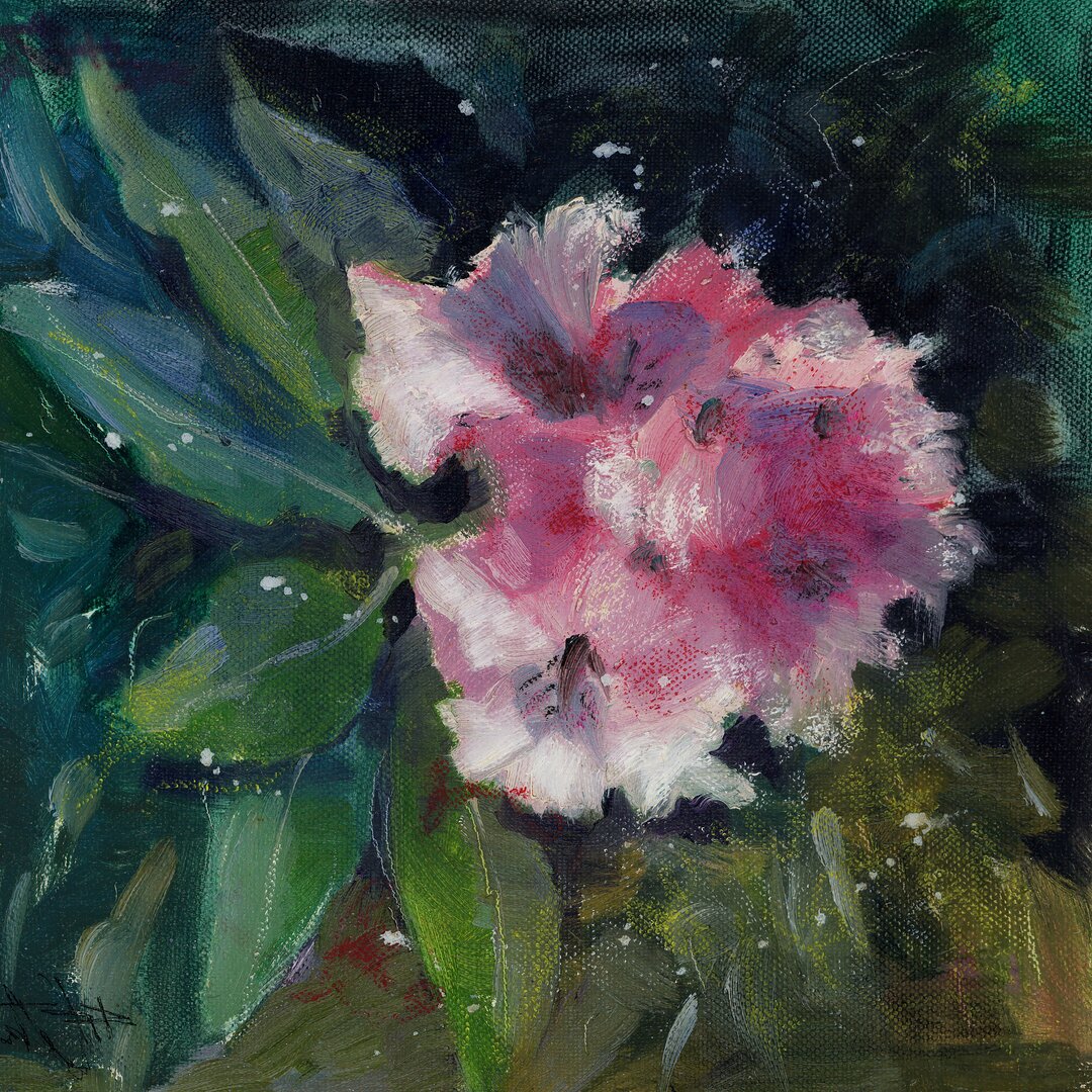 Leinwandbild Rhododendron Portrait II von Anne Farrall Doyle