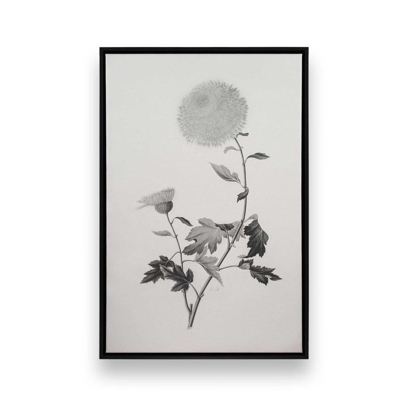 «Botanical IV» par Deborah Revell, reproduction d'art sur toile, H 18 po x l 12 po, Cadre flottant, Noir