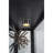 Flagg Lighted Gallery Style 5 Shelf Curio Cabinet in Onyx Black