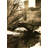 Central Park (1961)-1725489276