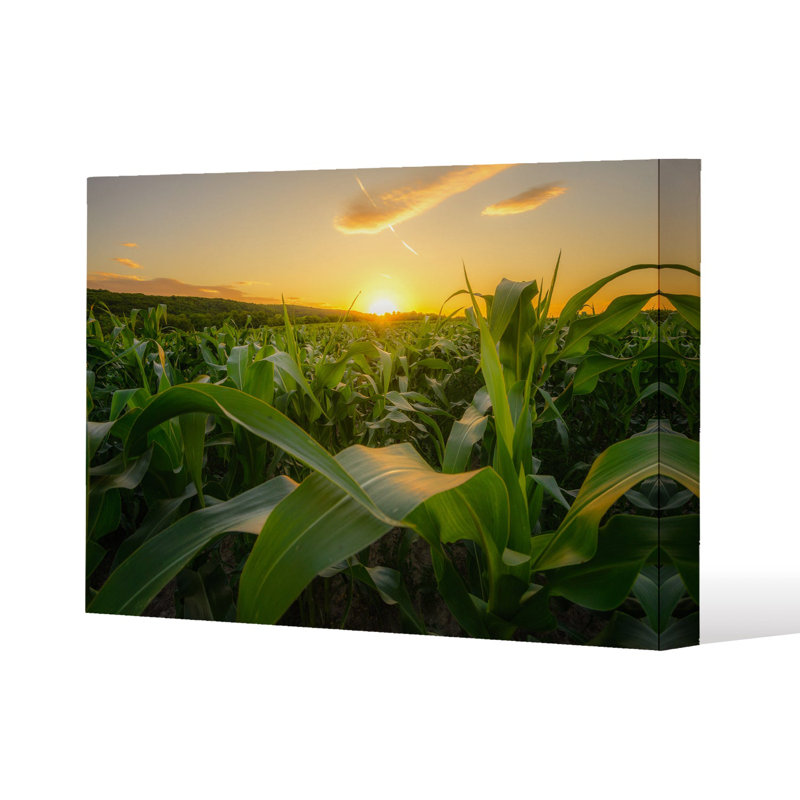 field at sunset (Canvas Print) Slim Style Canvas Print, 15mm Slim Real wood., 20 cm H x 30 cm W