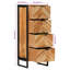 Shawnna Freestanding Bathroom Cabinet