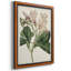Toile encadrée de qualité supérieure Antique Botanical Collection-1421748417