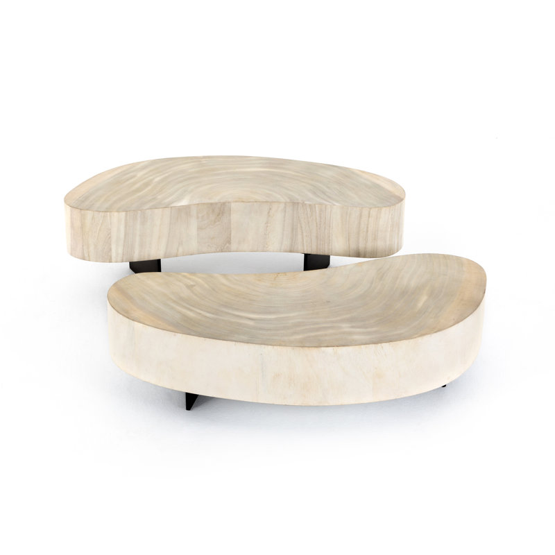 Table basse Anasta, Guanacaste blanchi, Bronze industriel foncé