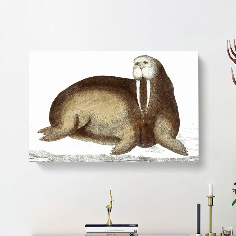 Arctic Walrus by George Shaw - Wrapped Canvas, 35cm H x 50cm W x 3cm D