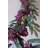 BOTANICA #9022