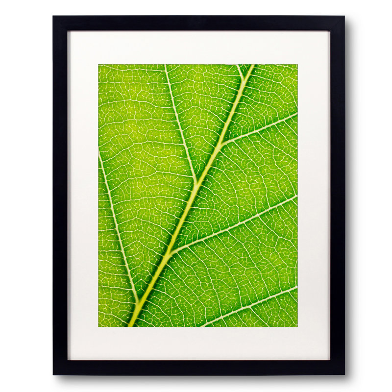 Autumn Leaf by Philippe Monthoux, Black Framed Paper, 20" H x 16" W